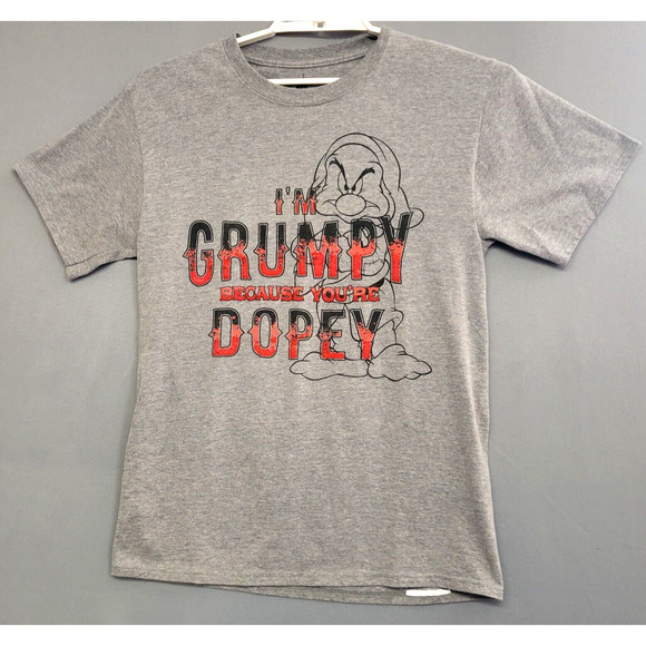 Disney Parks T-shirt Grumpy Adult Medium Gray Heathered Graphic Short Sleeves - Picture 1 of 11